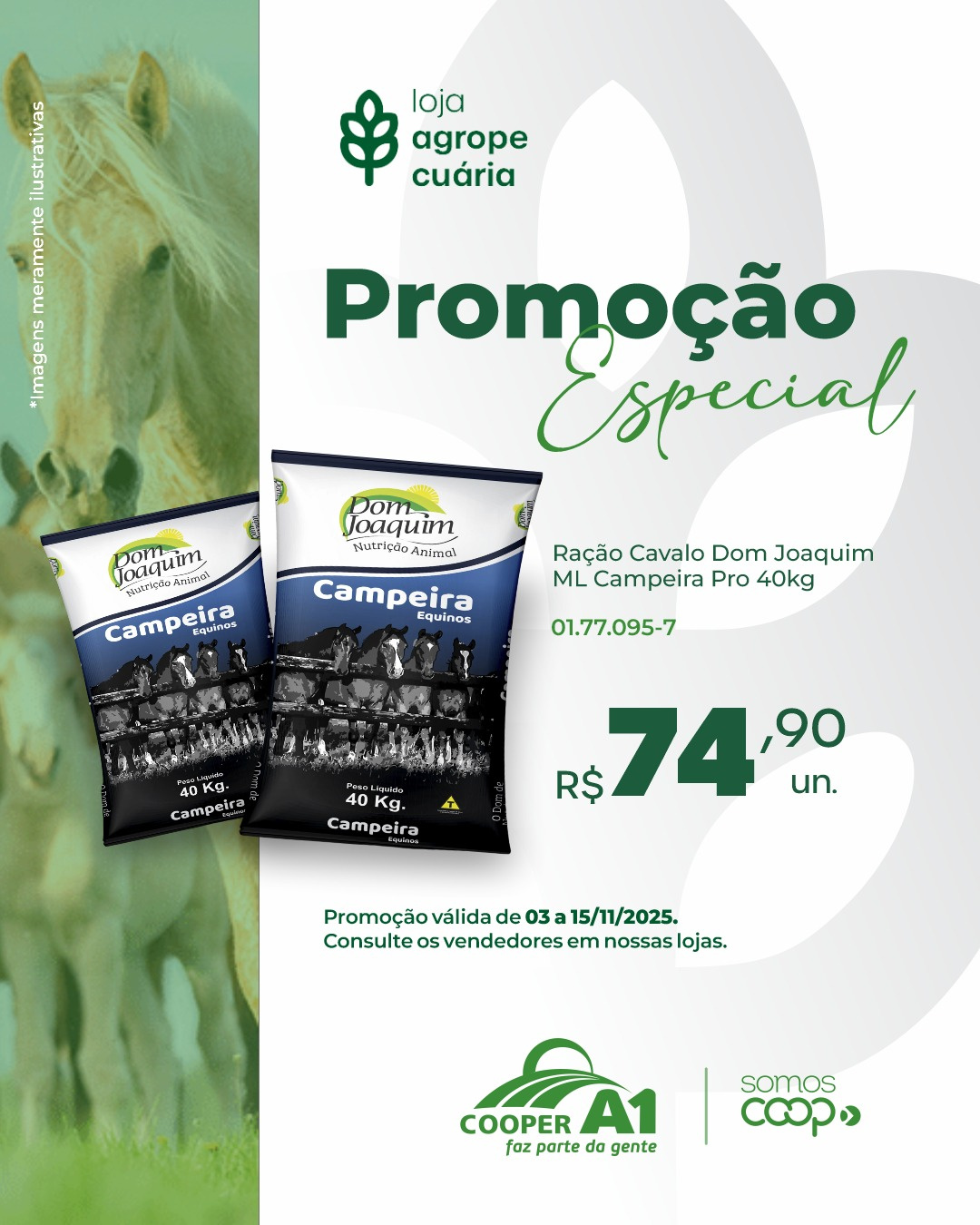 Promoção Especial