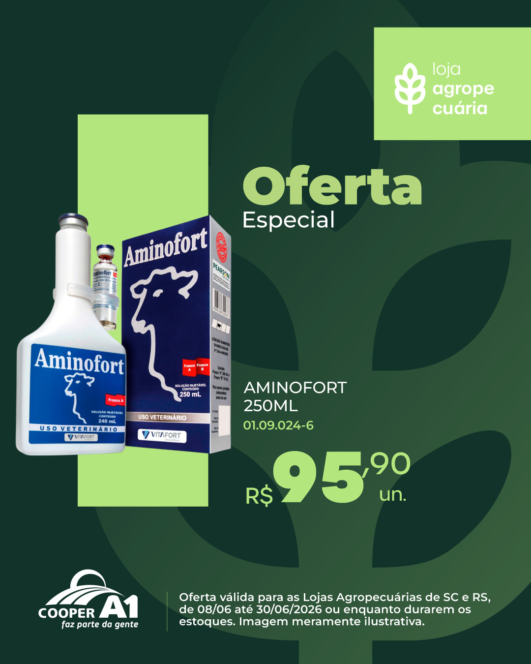 Oferta Especial
