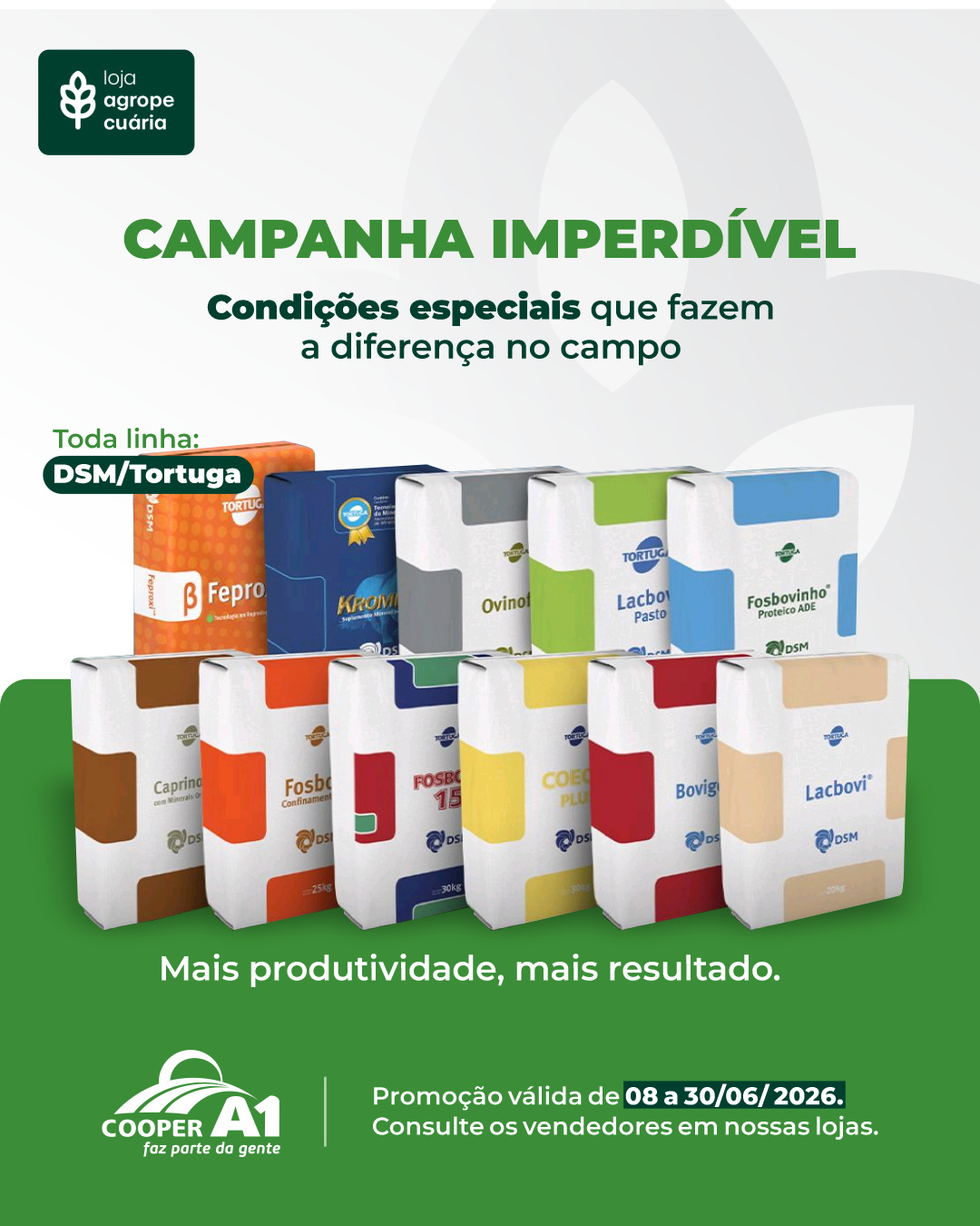 Campanha Imperd&iacute;vel