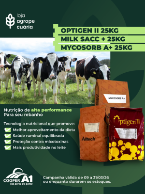 Ofertas Agropecu&aacute;ria