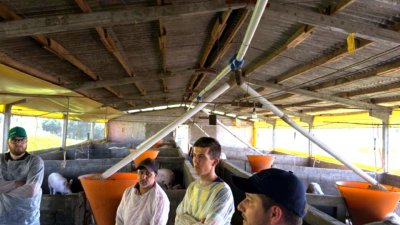 Primeiro Dia de Campo de suinocultura da Cooper A1 no Paran&aacute;