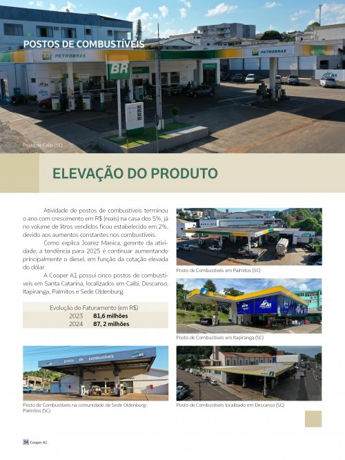 Revista Digital - página 33