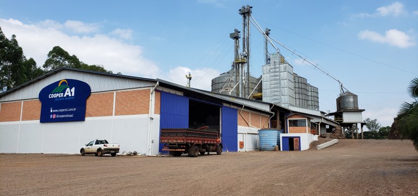 Frederico Westphalen