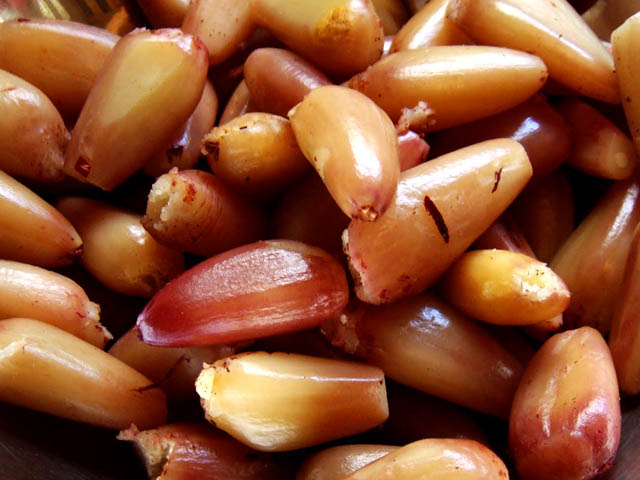 PAPO DE NUTRI: PINHÃO