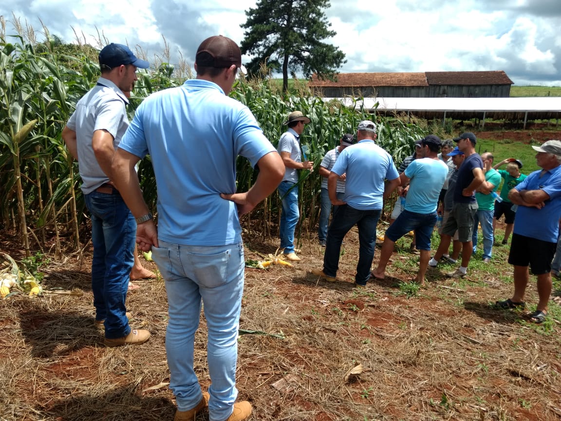 DIAS DE CAMPO: aliados dos produtores rurais para um bom cultivo de sementes
