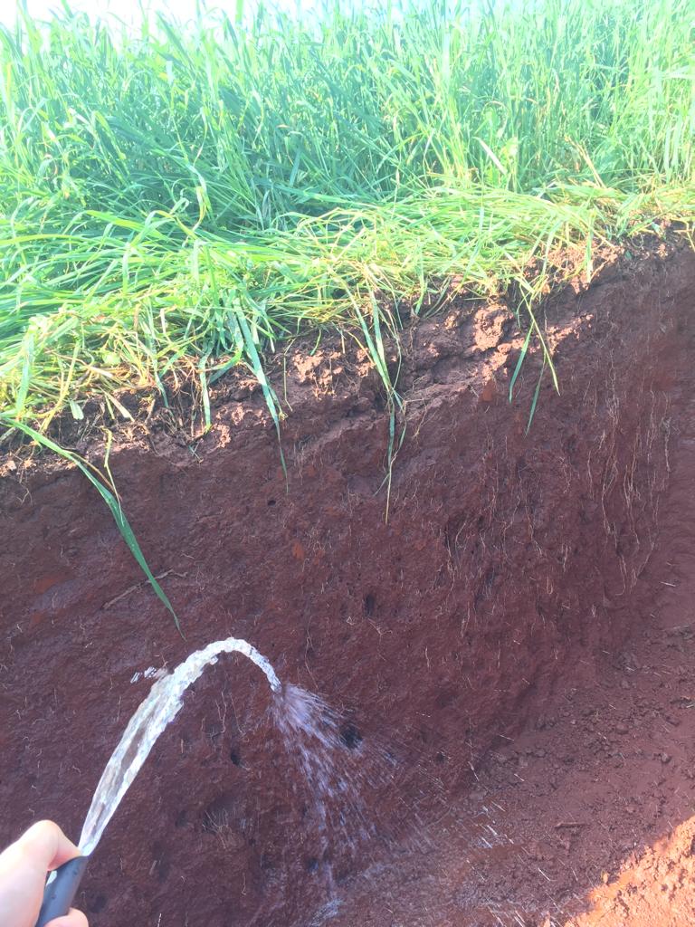 12º Dia de Negócios é na próxima quinta e sexta-feira