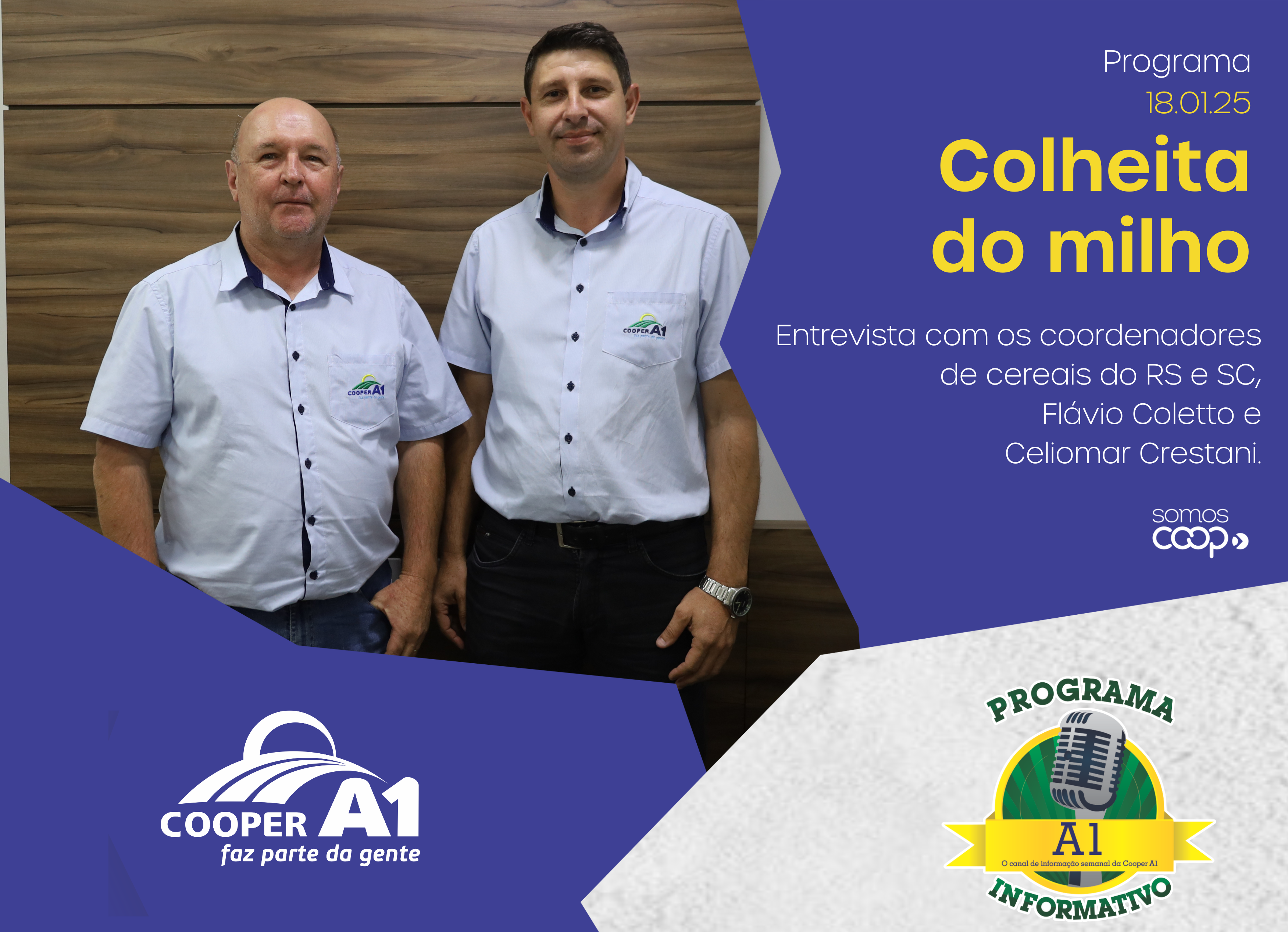 INFORMATIVO A1 18.01.25: Colheita do milho 