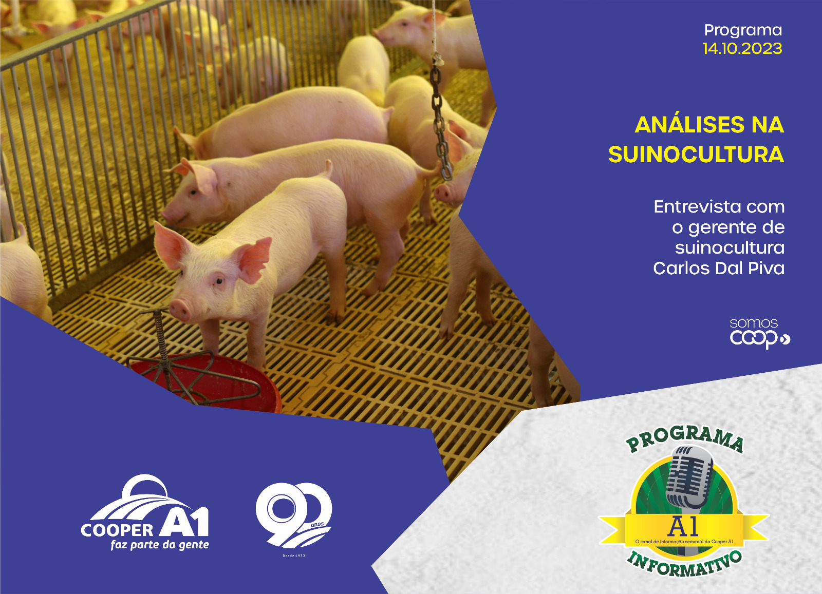 INFORMATIVO A1 14.10.23: Análises na suinocultura