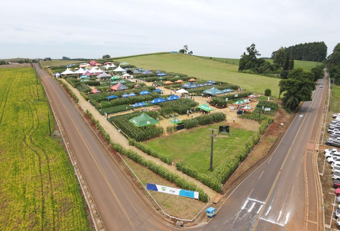 CAMPO TECNOLÓGICO: 2ª edição do evento reúne cooperados de diversas regiões