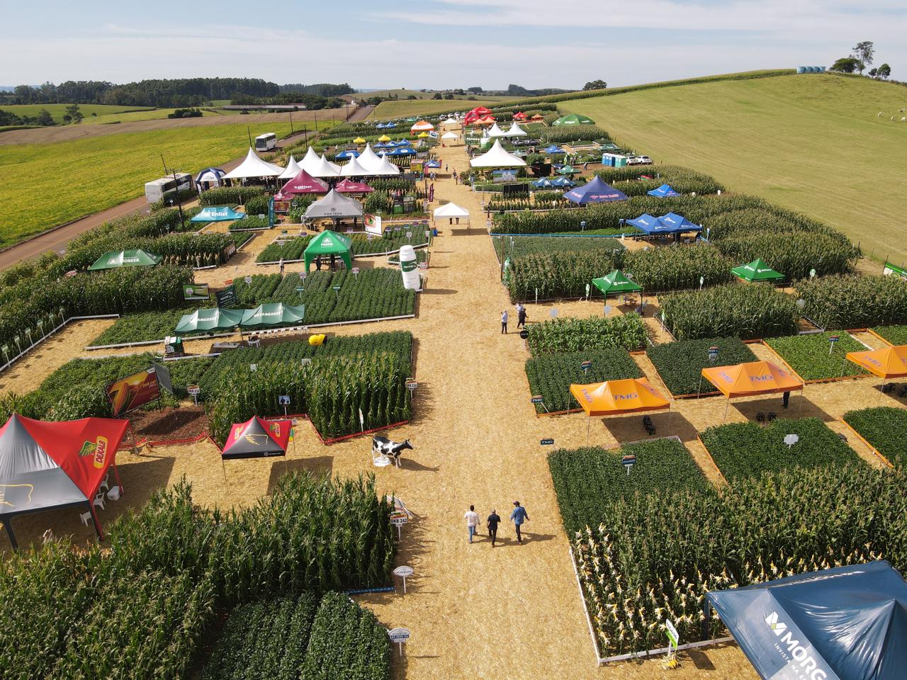 CAMPO TECNOLÓGICO: Um local de conhecimento na prática